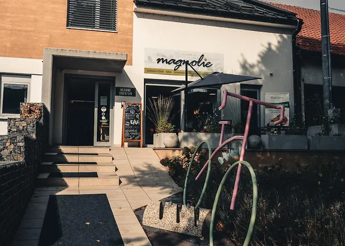 Lägenhetshotell Rezidence Magnolie Velké Pavlovice